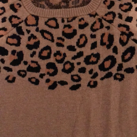 Cheetah Print Top - Picture 3 of 3
